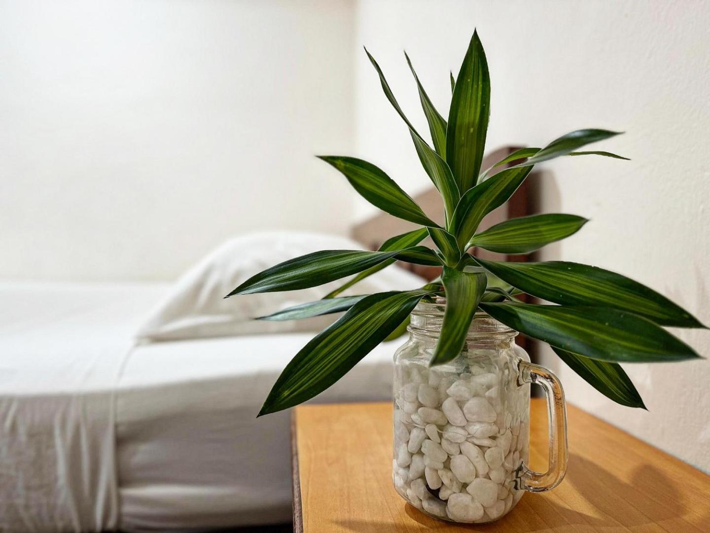 Town Inn Hotel - Rainforest Jerantut Bagian luar foto